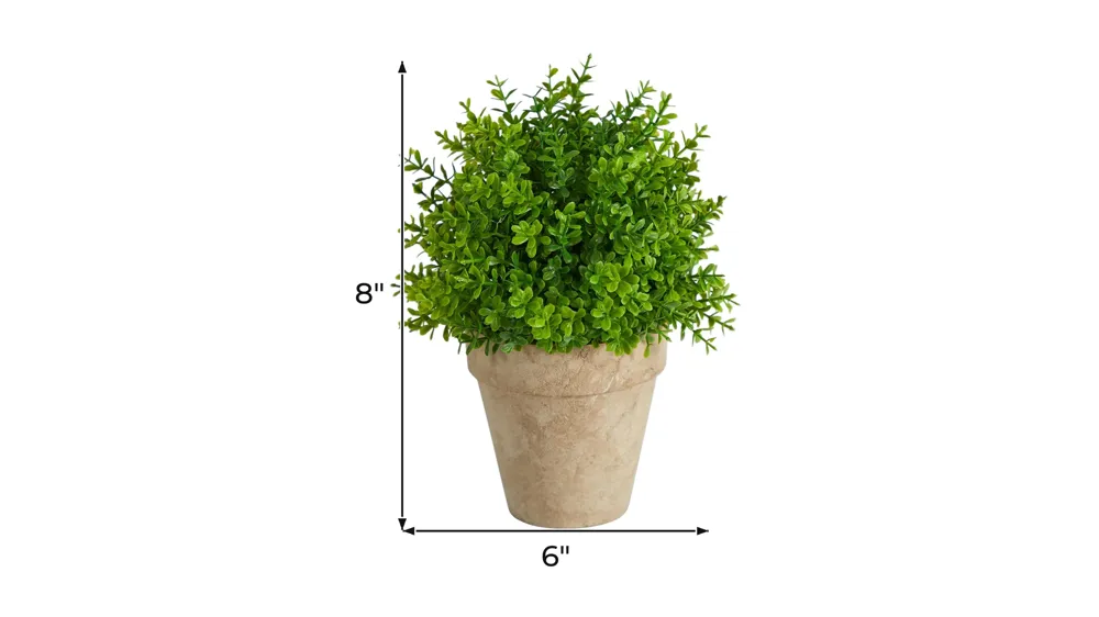 8in. Boxwood Artificial Plant in Decorative Planter Dimensions