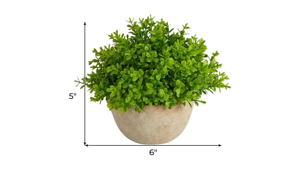 5in. Boxwood Artificial Plant in Decorative Planter Dimensions