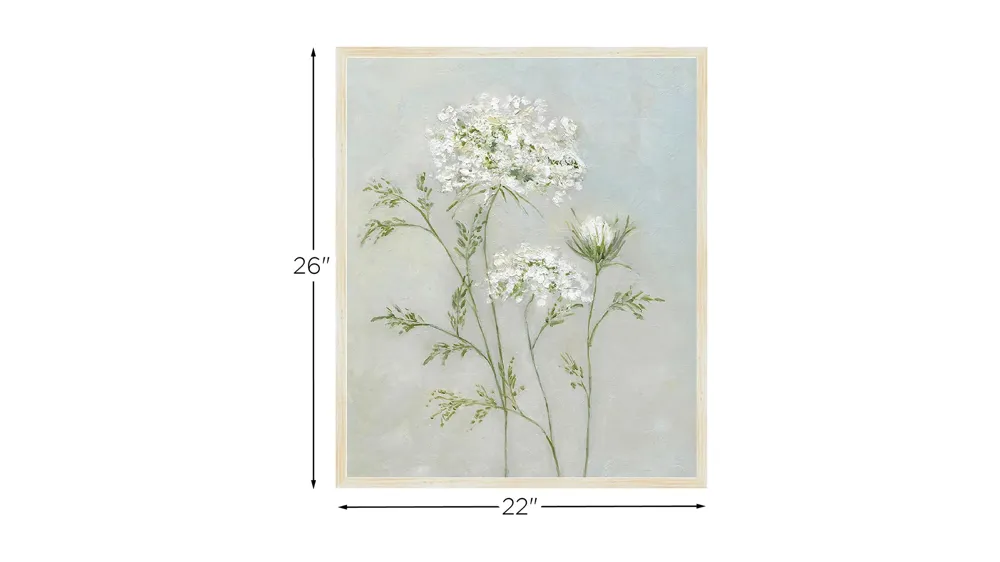 Chantilly Lace I Wall Art Dimensions