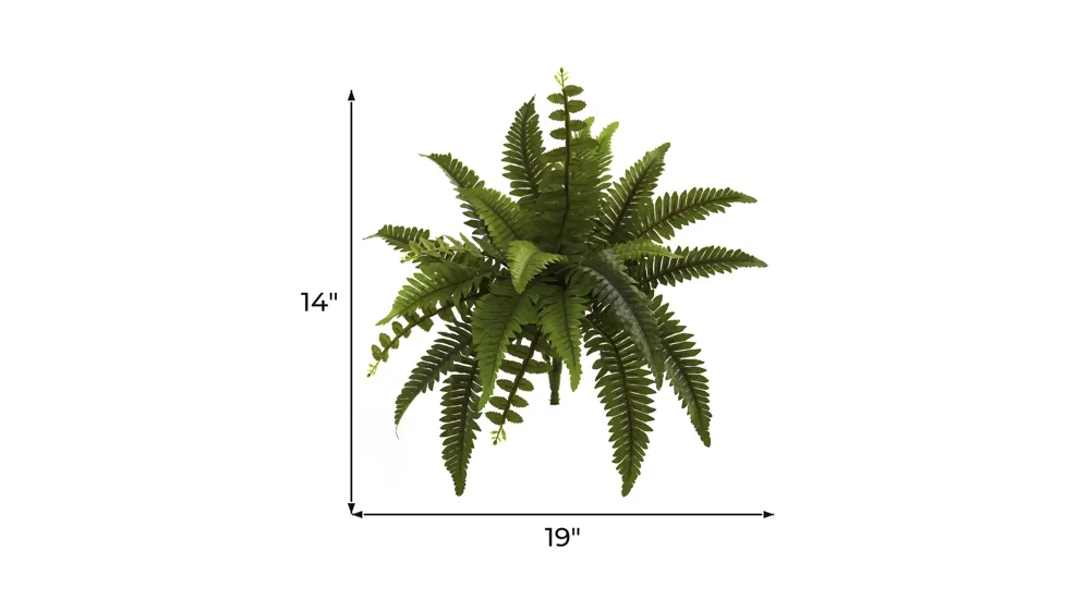 14in. Boston Fern Artificial Plant (Set of 6) Dimensions