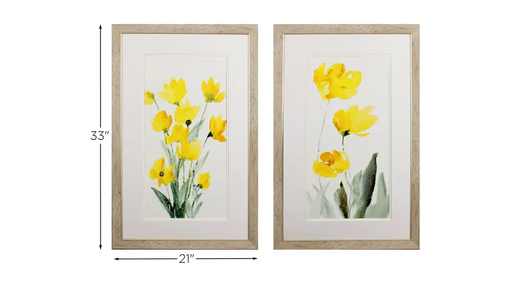Daisies Bloom S/2 Wall Art Dimensions