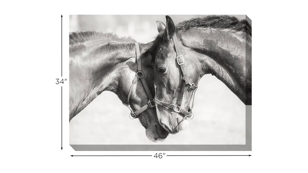 I Can See Clearly Now Canvas Wall Art Dimensions