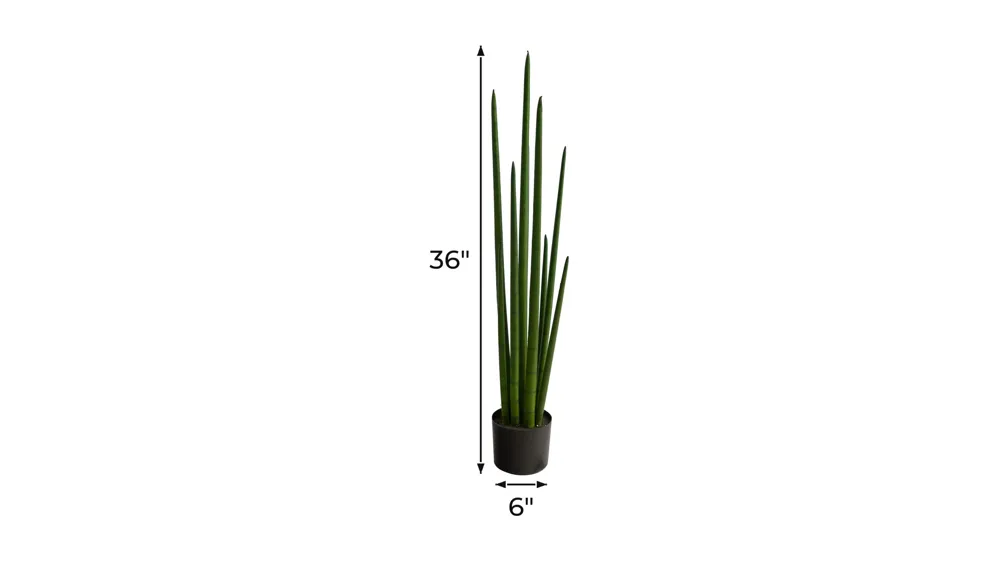 3.5' Sansevieria Artificial Plant Dimensions