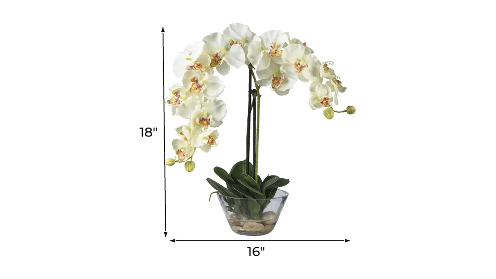 Phalaenopsis with Glass Vase Silk Flower Arrangement Dimensions