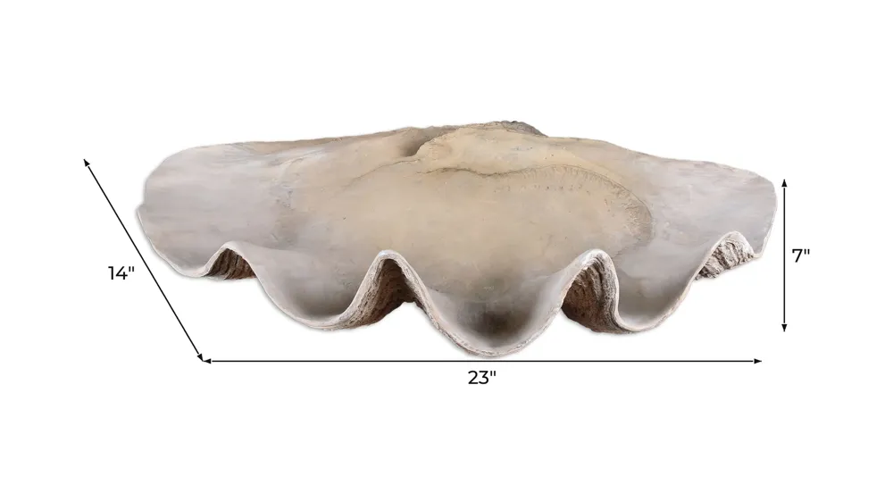 Clam Shell Bowl Dimensions