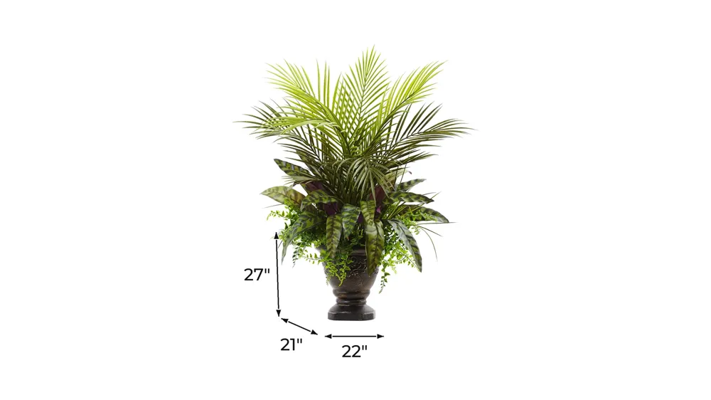 Mixed Areca Palm, Fern & Peacock with Planter Dimensions
