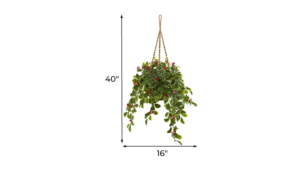 40" Variegated Holly with Berries Artificial Plant in Hanging Basket Dimensions