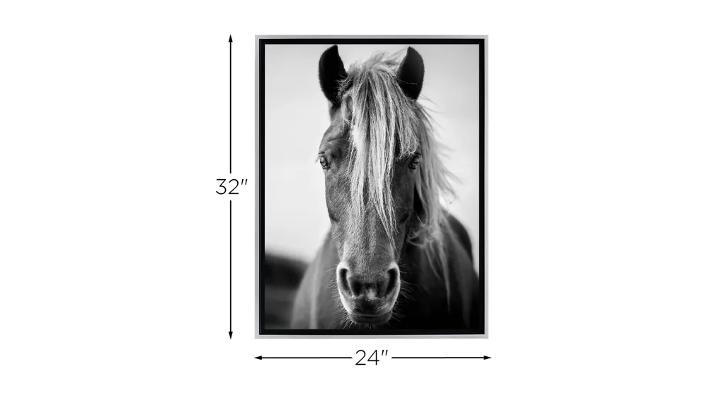 Stratton Black and White Wild Horse Canvas Wall Art Dimensions