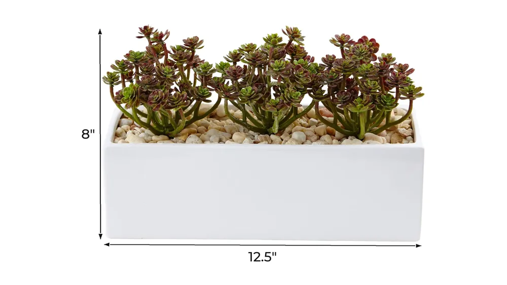 7.75in. Sedum Artificial Arrangement in Rectangular Planter Dimensions