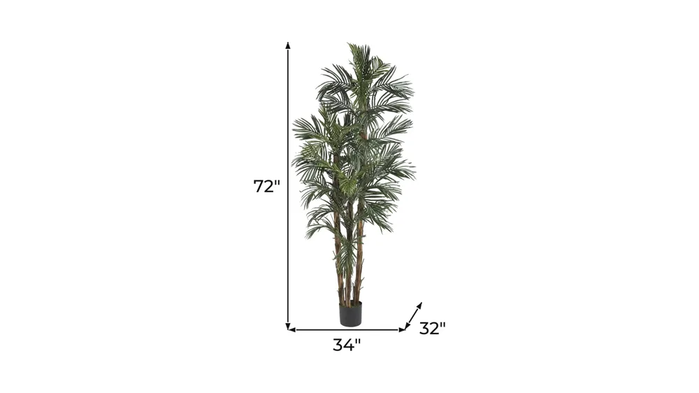 6ft. Robellini Palm Silk Tree Dimensions