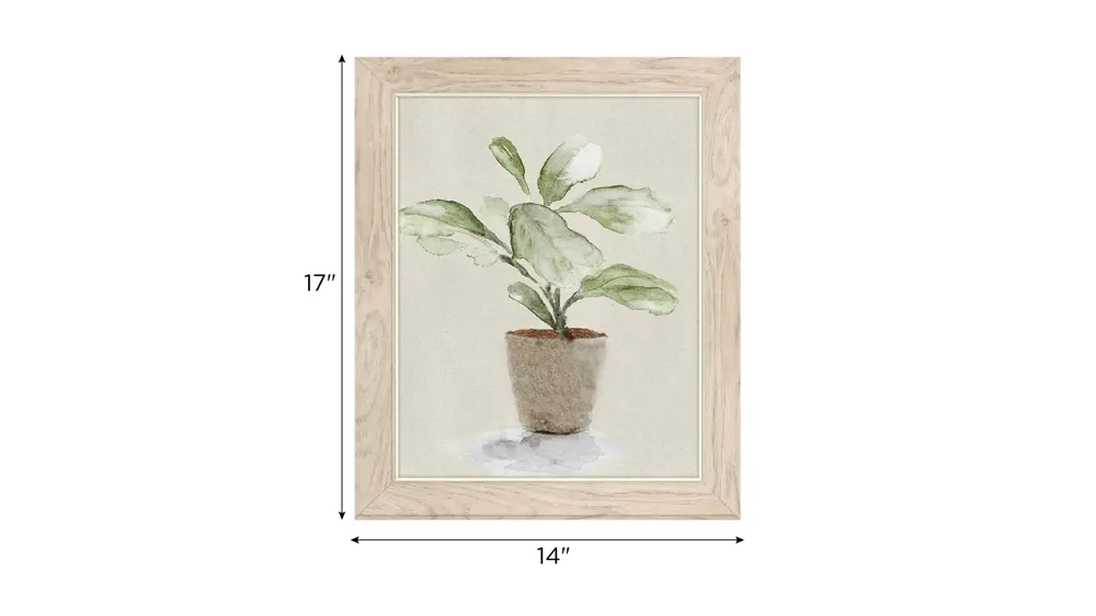 Sonny Fiddle Fig Tree Wall Art S2 Dimensions