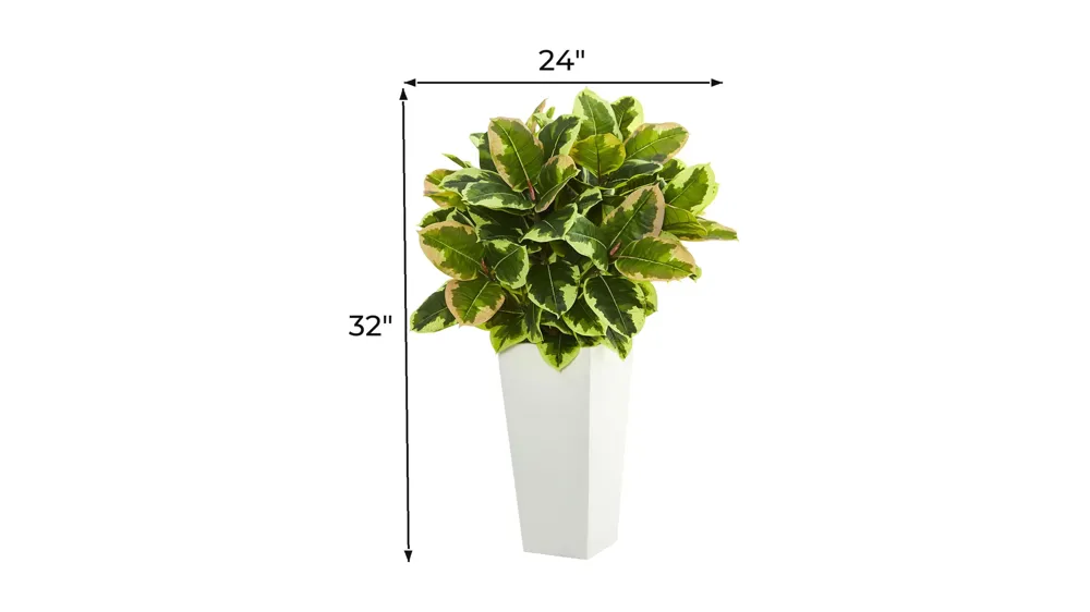 Variegated Rubber Artificial Plant in White Planter Dimensions