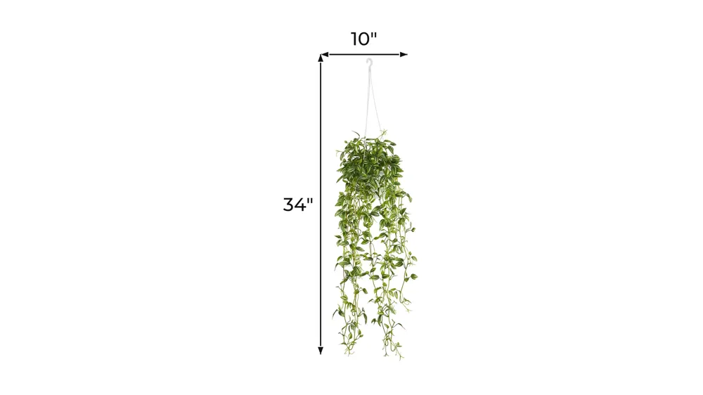 Green Variegated Wandering Jew Hanging Basket Artificial Plant Dimensions