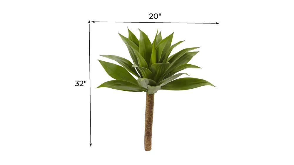 32in. Agave Plant with Stem Dimensions