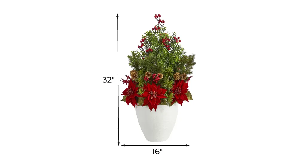 32in. Poinsettia, Boxwood and Succulent Arrangement Dimensions