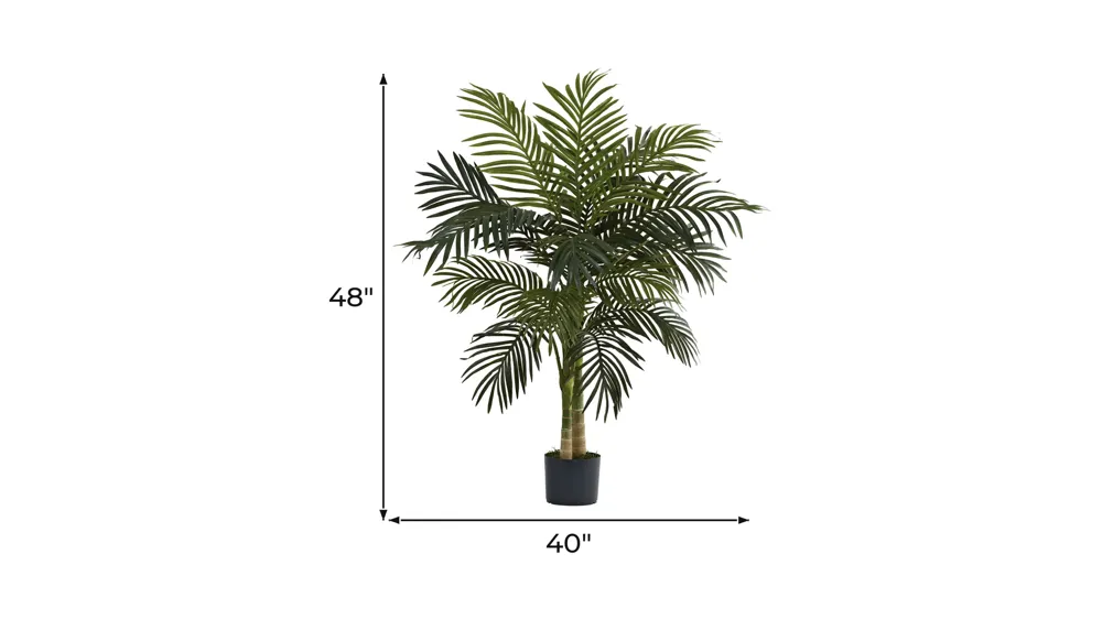 4ft. Golden Cane Palm Tree Dimensions