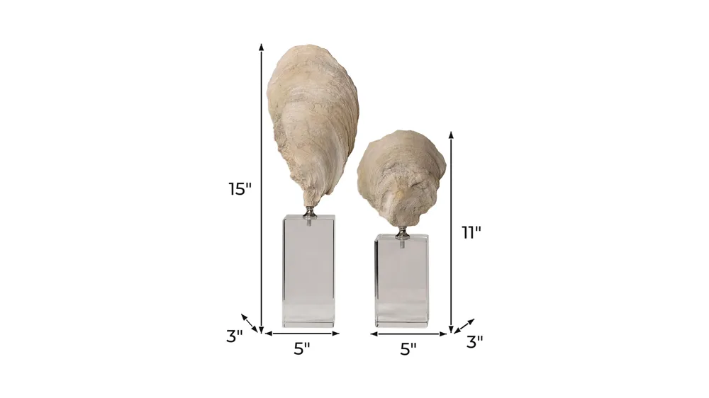 Oyster Shell Sculptures: Set of 2 Dimensions