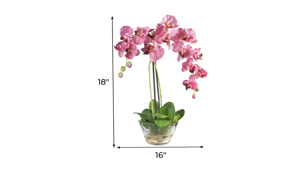Phalaenopsis with Glass Vase Silk Flower Arrangement Dimensions