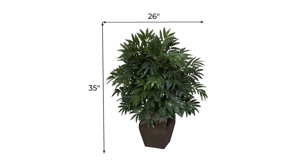 Double Bamboo Palm with Decorative Planter Dimensions