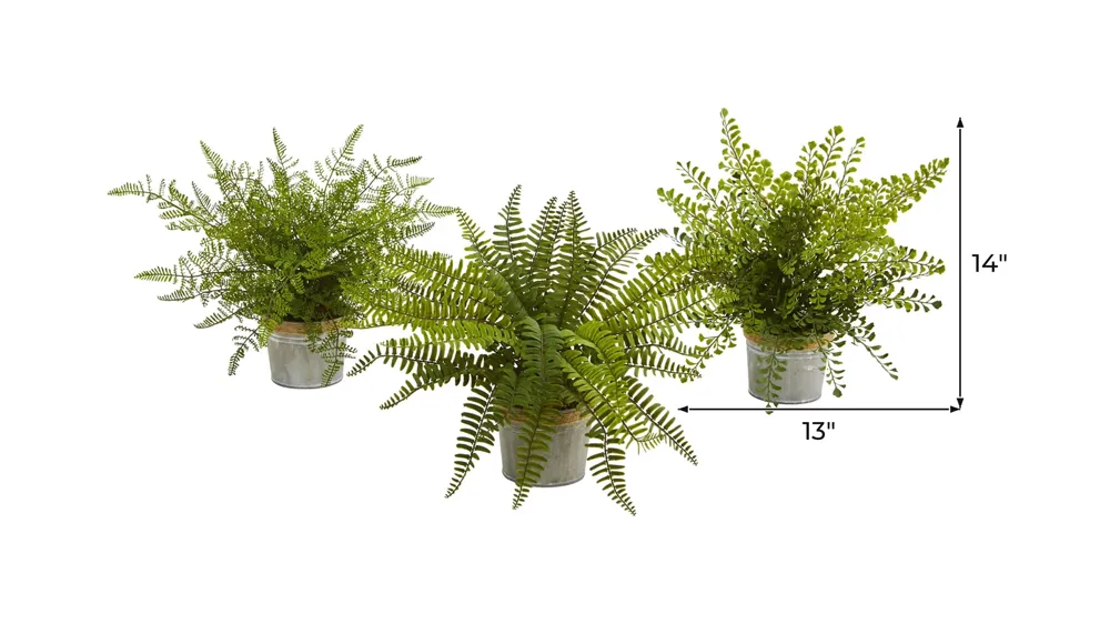 14in. Assorted Ferns with Planter Artificial Plant (Set of 3) Dimensions