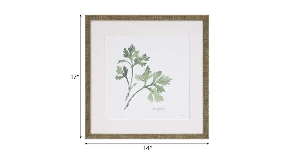 Sonny Herbs Wall Art S4 Dimensions