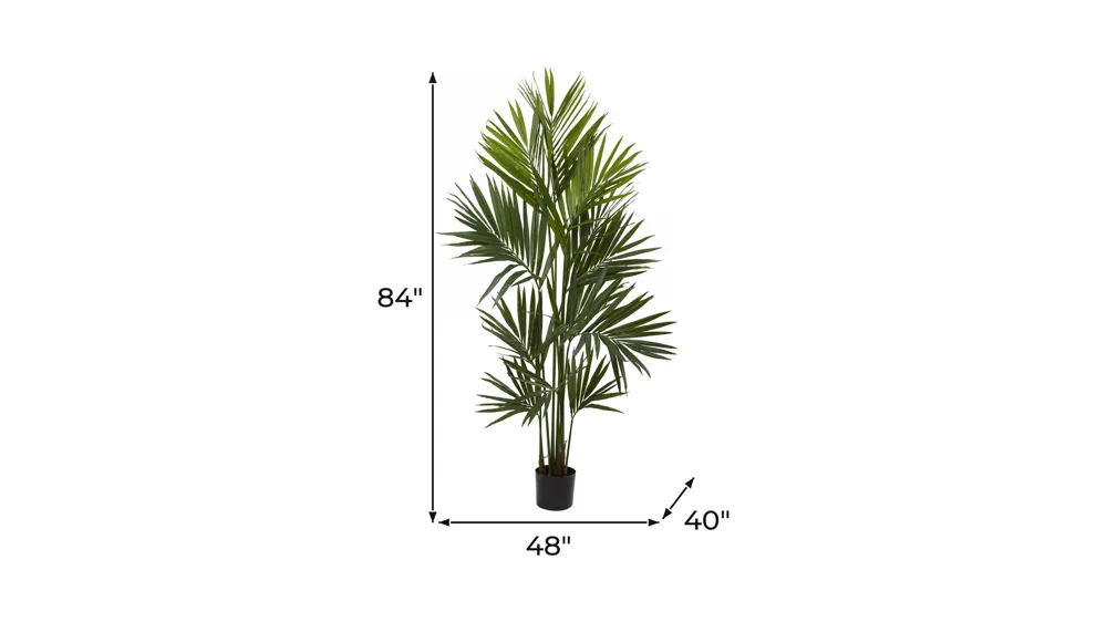 7ft. Kentia Palm Silk Tree Dimensions