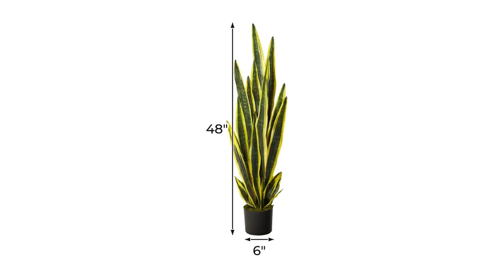 4' Sansevieria Artificial Plant Dimensions
