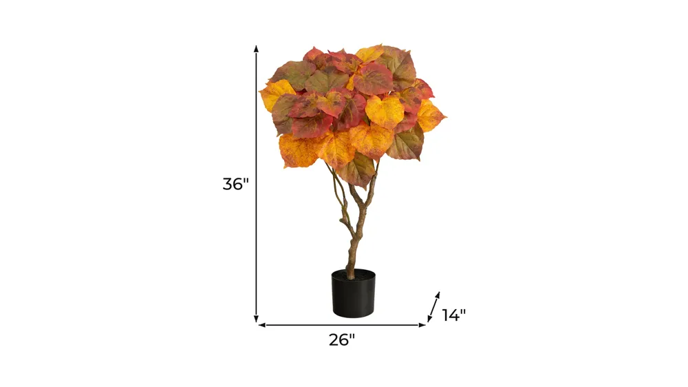 Fall foliage 3ft Umbrella Ficus Tree Dimensions