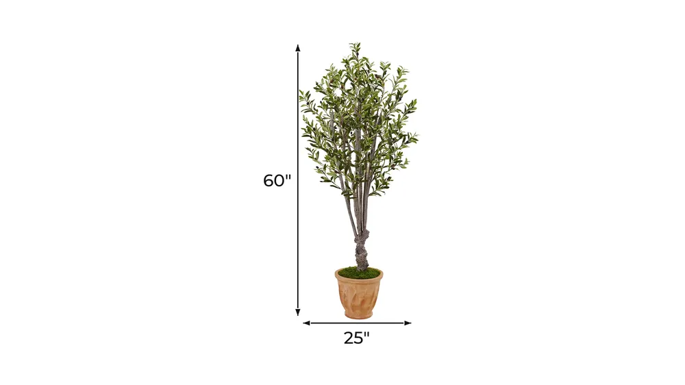 5ft. Olive Artificial Tree in Terracotta Planter Dimensions