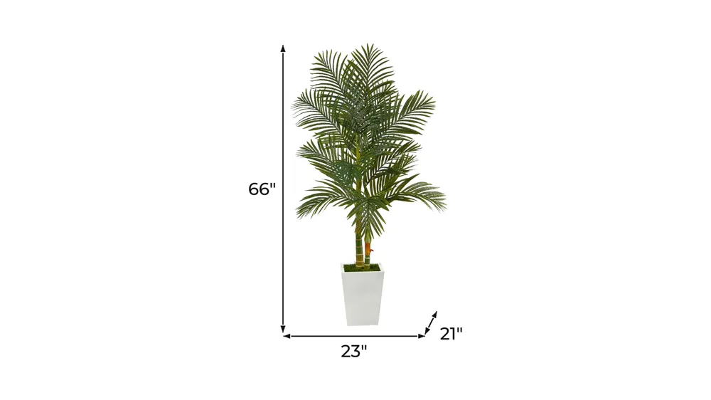 5.5ft. Golden Cane Artificial Palm Tree in White Metal Planter Dimensions
