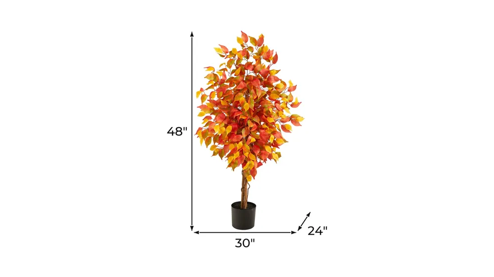 Fall foliage 4ft Ficus Tree Dimensions