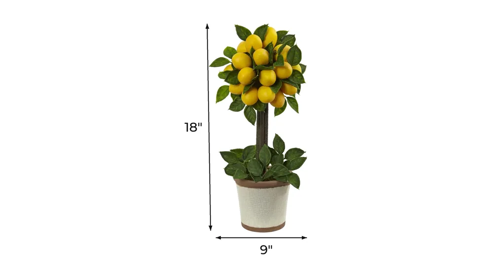 Lemon Ball Topiary Arrangement Dimensions