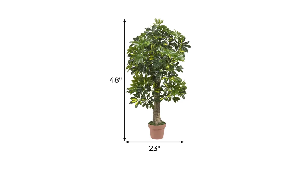 Schefflera Artificial Tree Dimensions