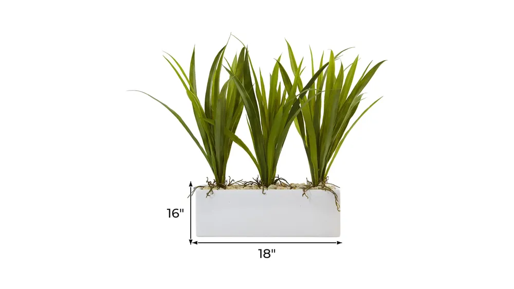 Grass in Rectangular Planter Dimensions