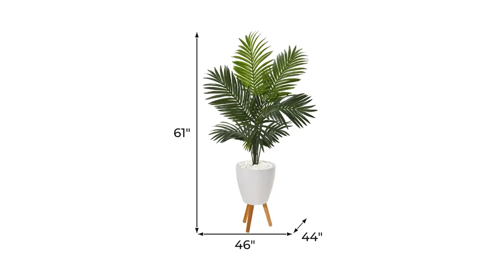 61in. Paradise Palm Artificial Tree in White Planter with Stand Dimensions