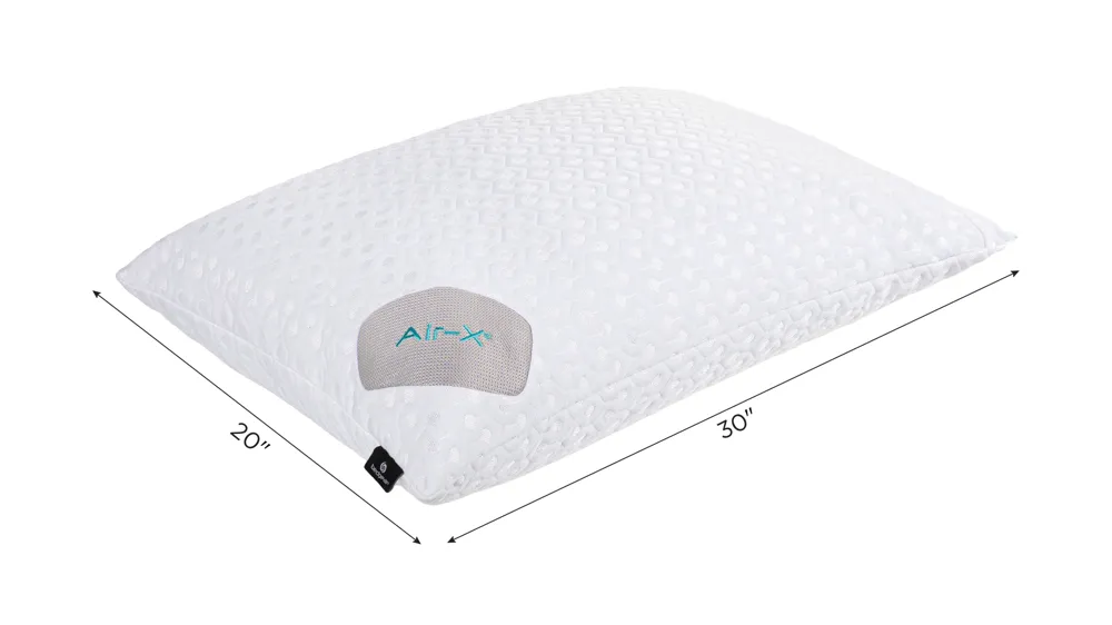 BEDGEAR Dri-Tec Pillow Protector Dimensions