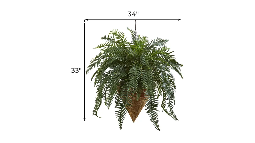 33in. Giant River Fern with Cone Hanging Basket Dimensions