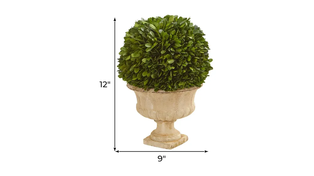 12in. Boxwood Topiary Ball Preserved Plant in Decorative Urn Dimensions