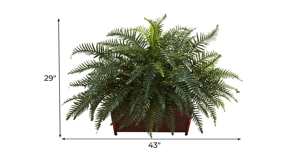 River Fern with Wood Planter Dimensions