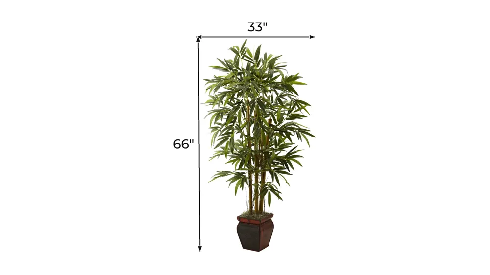 5.5ft. Bamboo with Decorative Planter Dimensions