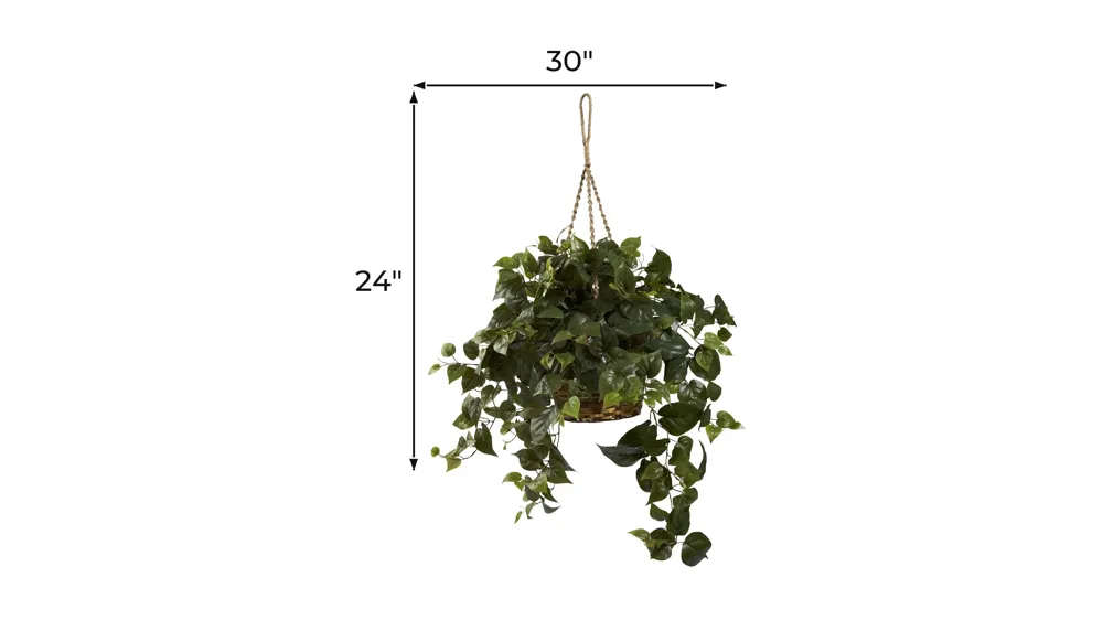 Philo Hanging Basket Dimensions