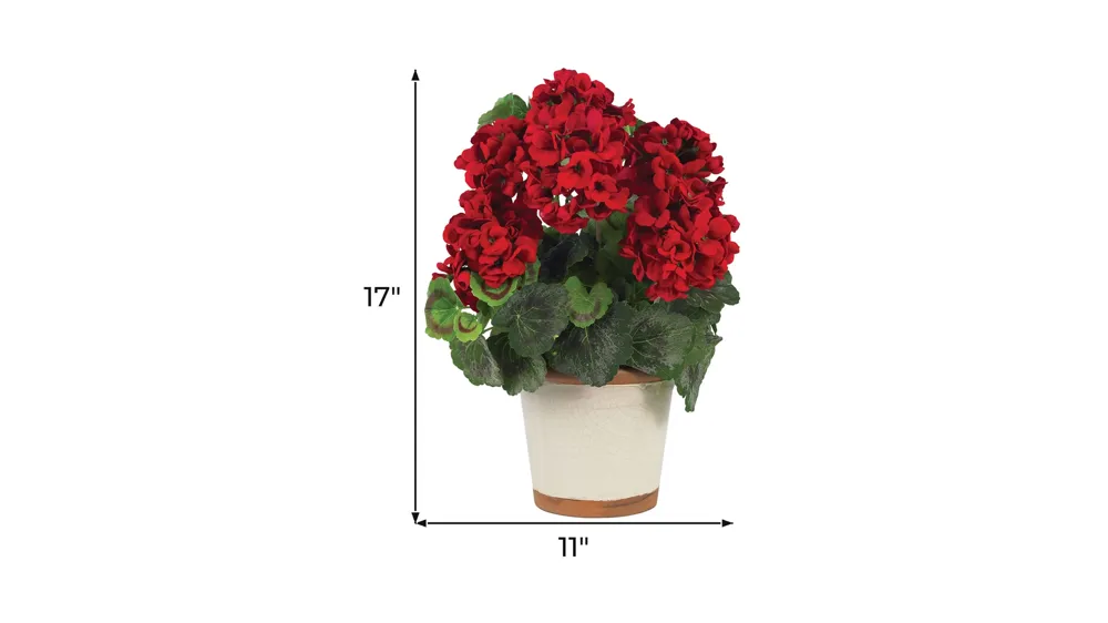 Geranium Silk Plant Dimensions