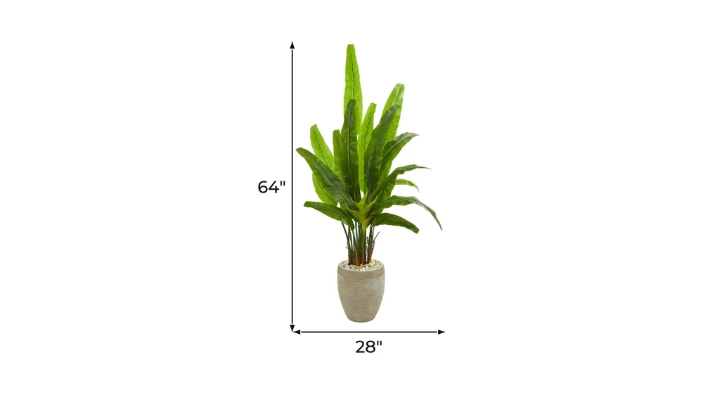 64in. Travelers Palm Artificial Tree in Sand Colored Planter Dimensions