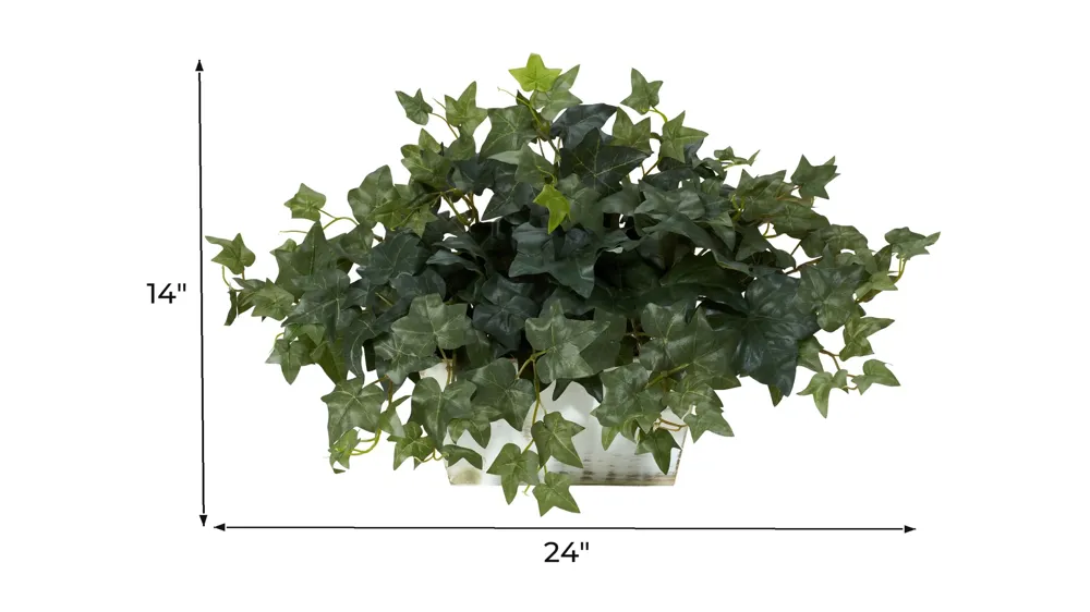 Ivy with White Wash Planter Silk Plant Dimensions