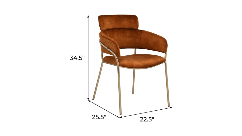 Yara Dining Chair - Set of 2 Dimensions