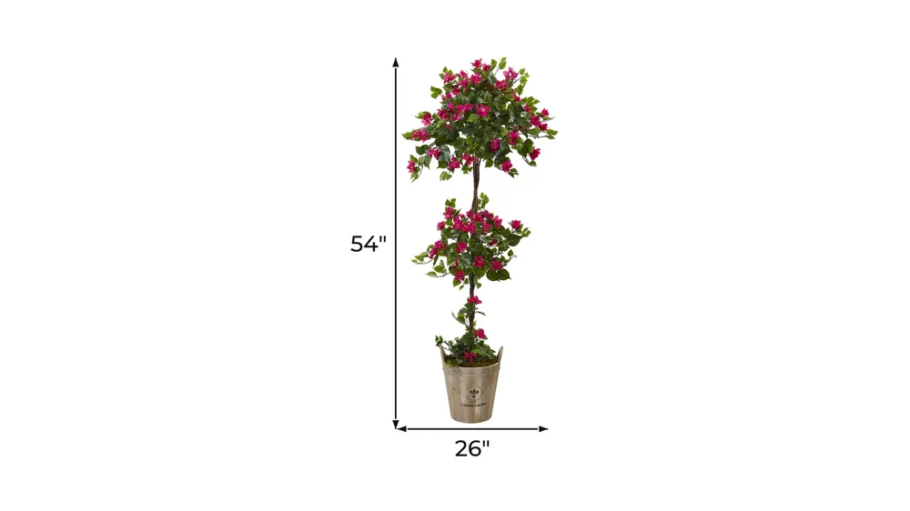 Bougainvillea Tree with European Barrel Planter Dimensions