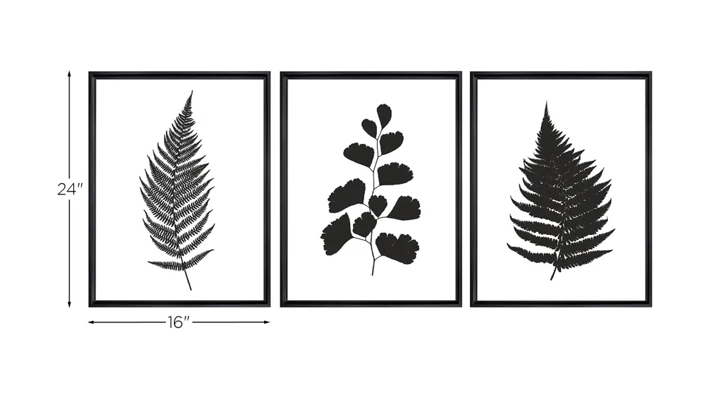 Stratton Botanical Ferns Canvas Wall Art Dimensions