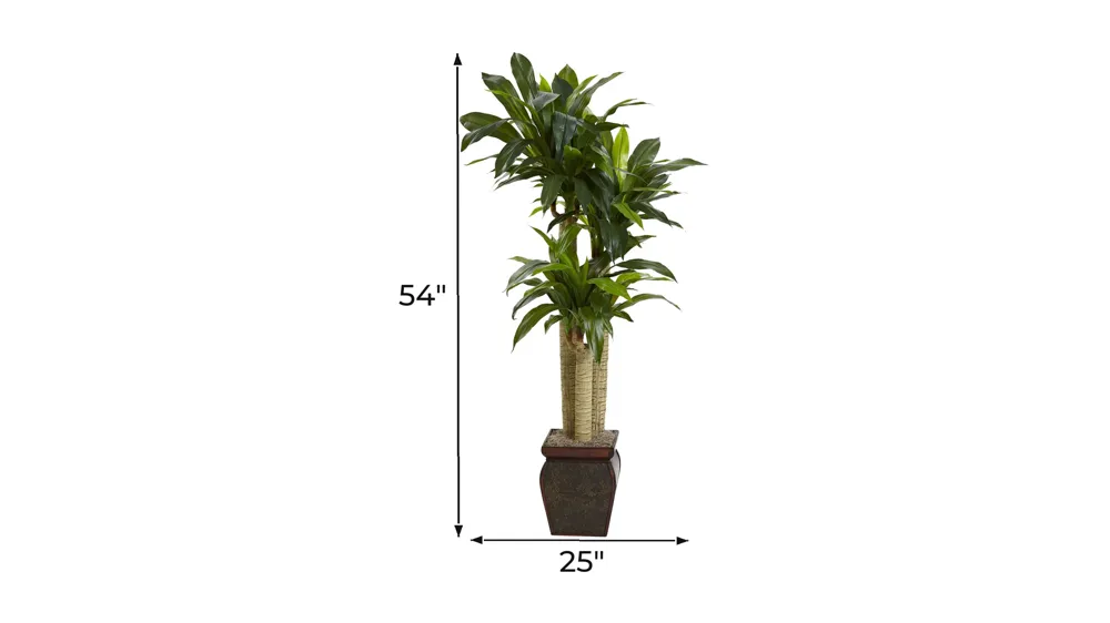 Cornstalk Dracaena Silk Plant with Vase Dimensions
