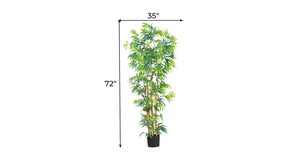 6ft. Bambusa Bamboo Silk Tree Dimensions