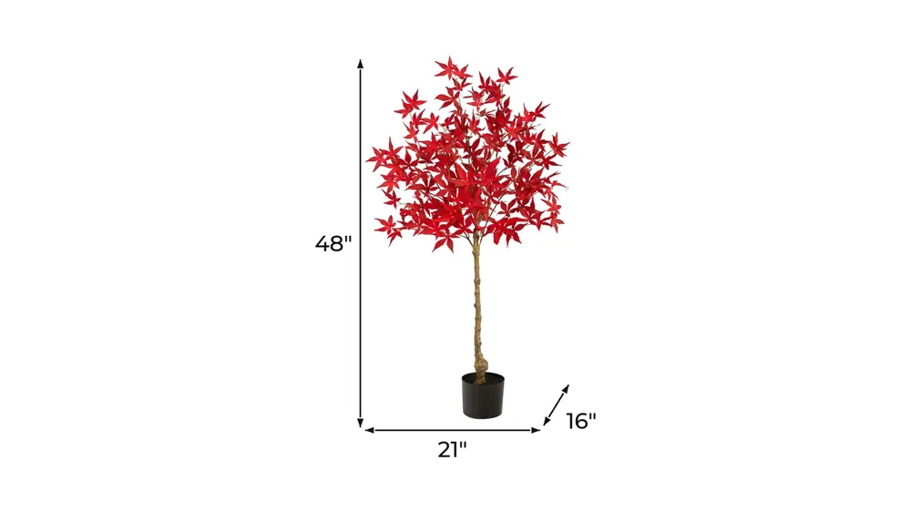 Fall foliage 4ft Maple Tree Dimensions